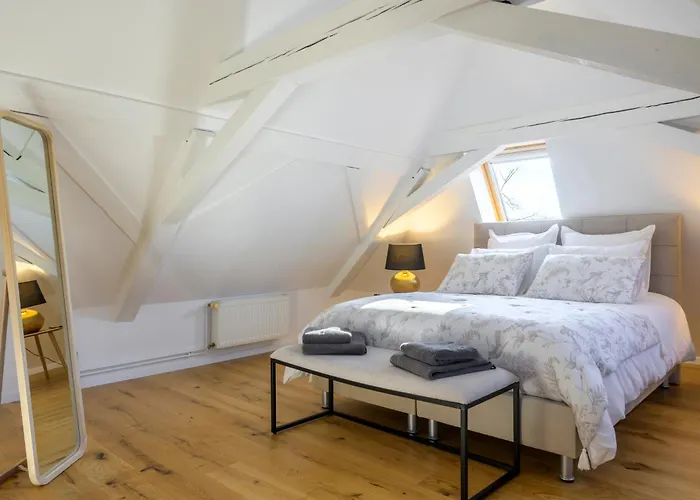 Maison Cosy Et Bien Situee * 콜마